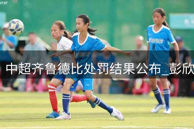 中超齐鲁德比处罚结果公布 彭欣力遭重罚郑智未被追责